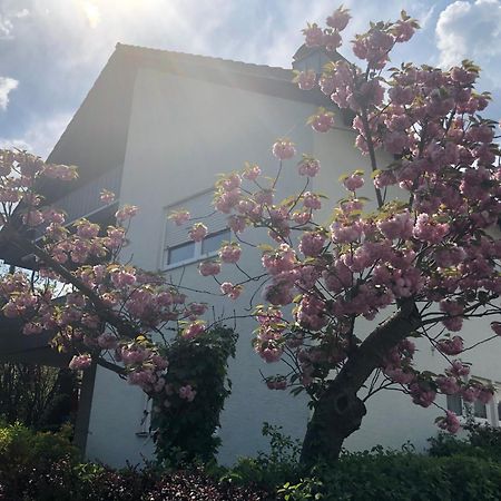 Daheim Am Wasserturm Woerth am Rhein Buitenkant foto